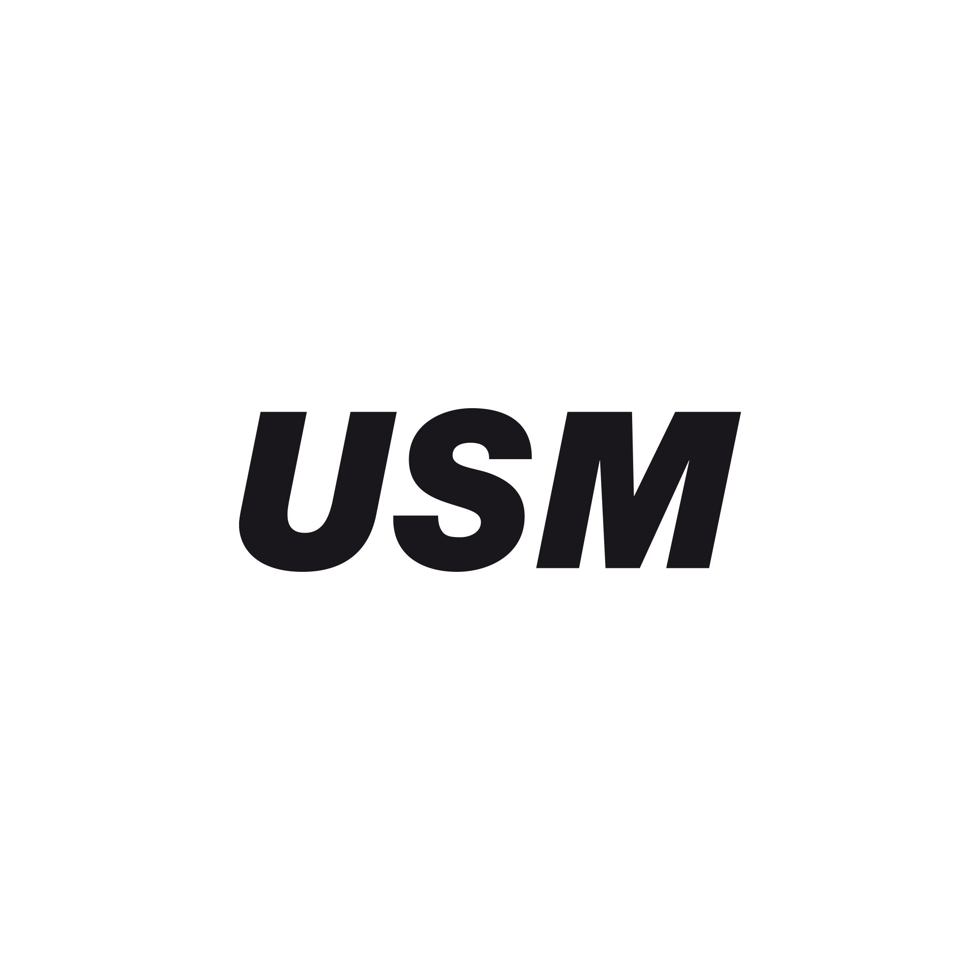 Logo USM